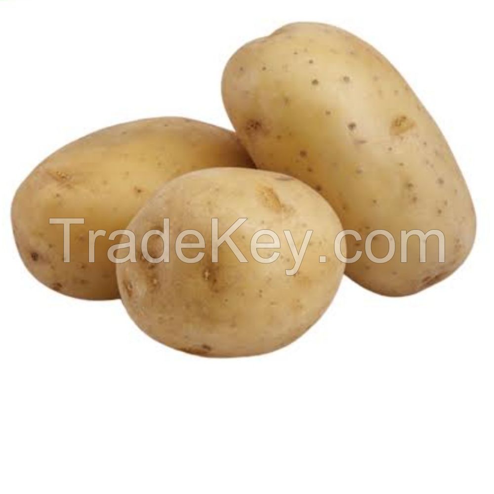 High Quality Cheap Price fresh potato export wholesale price