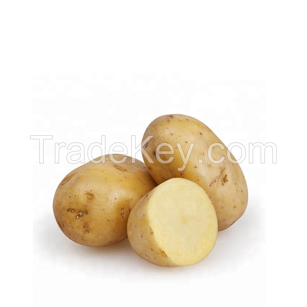 High Quality Cheap Price fresh potato export wholesale price