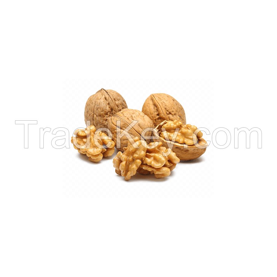 Factory supply walnut lowest price in shell walnuts kernels