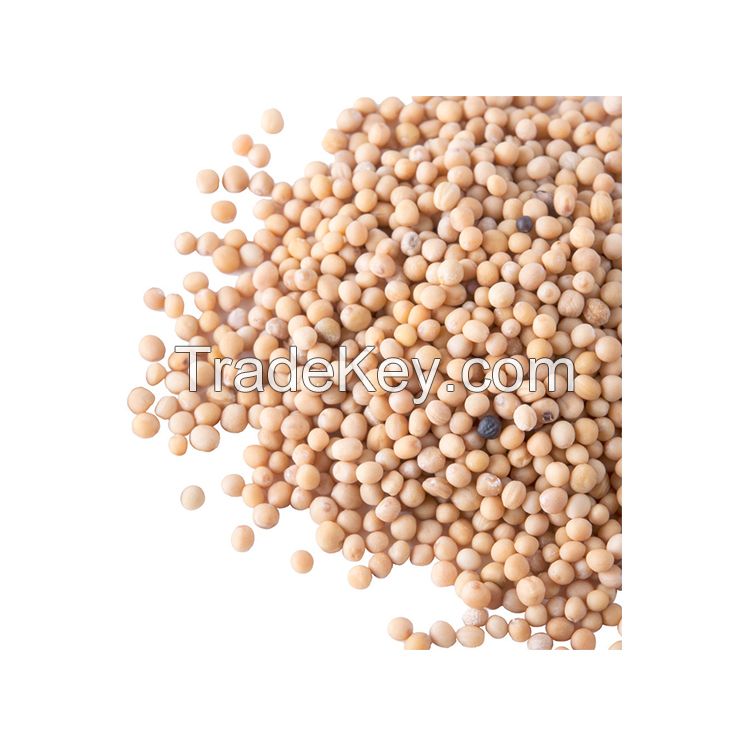 Factory Direct Sale Mustard Seed