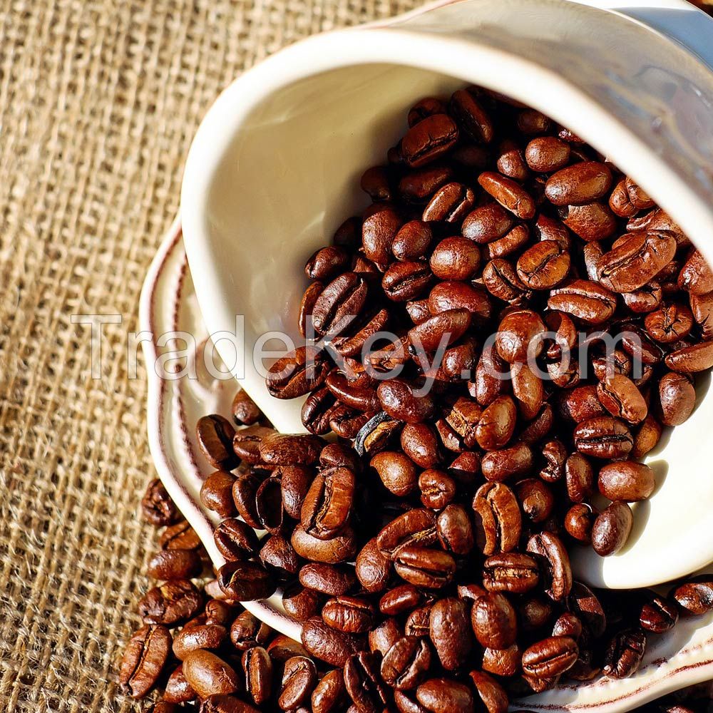 High Quality Raw Roasted Coffee Beans Bulk Coffee Beans Wholesale Low Price For Sale