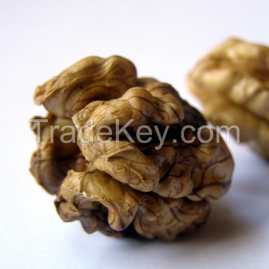 Factory supply walnut lowest price in shell walnuts kernels