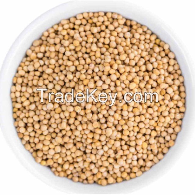 Factory Direct Sale Mustard Seed