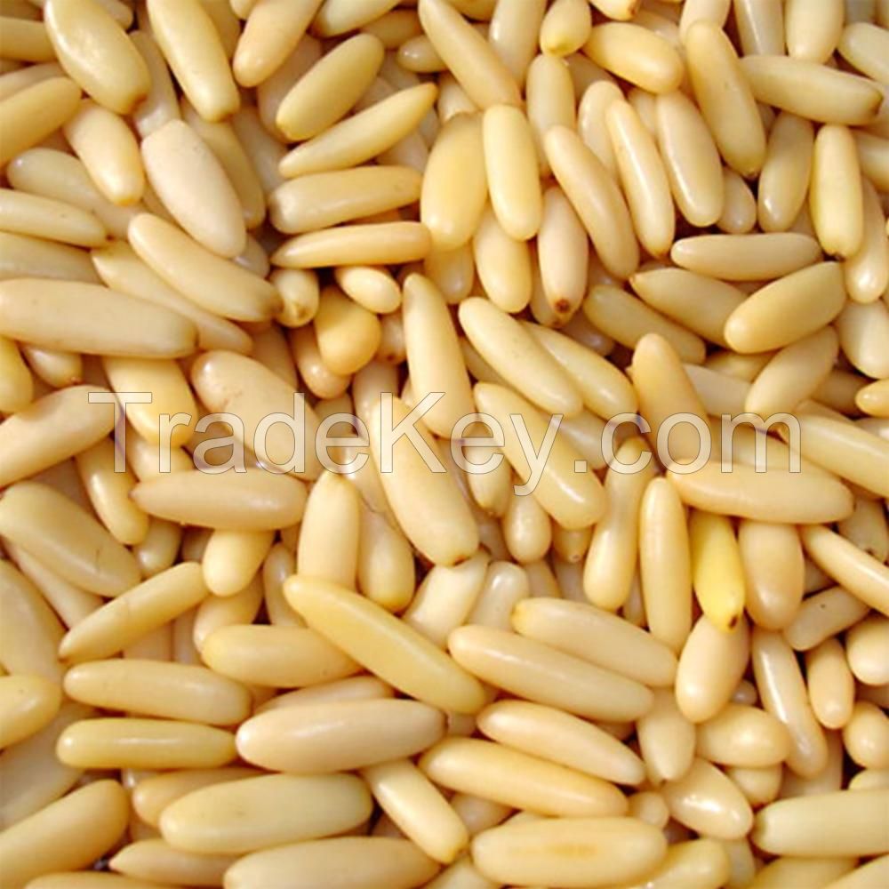 Roasted and Salted Pine Nuts , Pine Nuts in Shell and Pine Nut Kernels