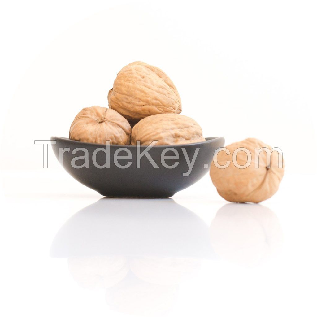 Factory supply walnut lowest price in shell walnuts kernels