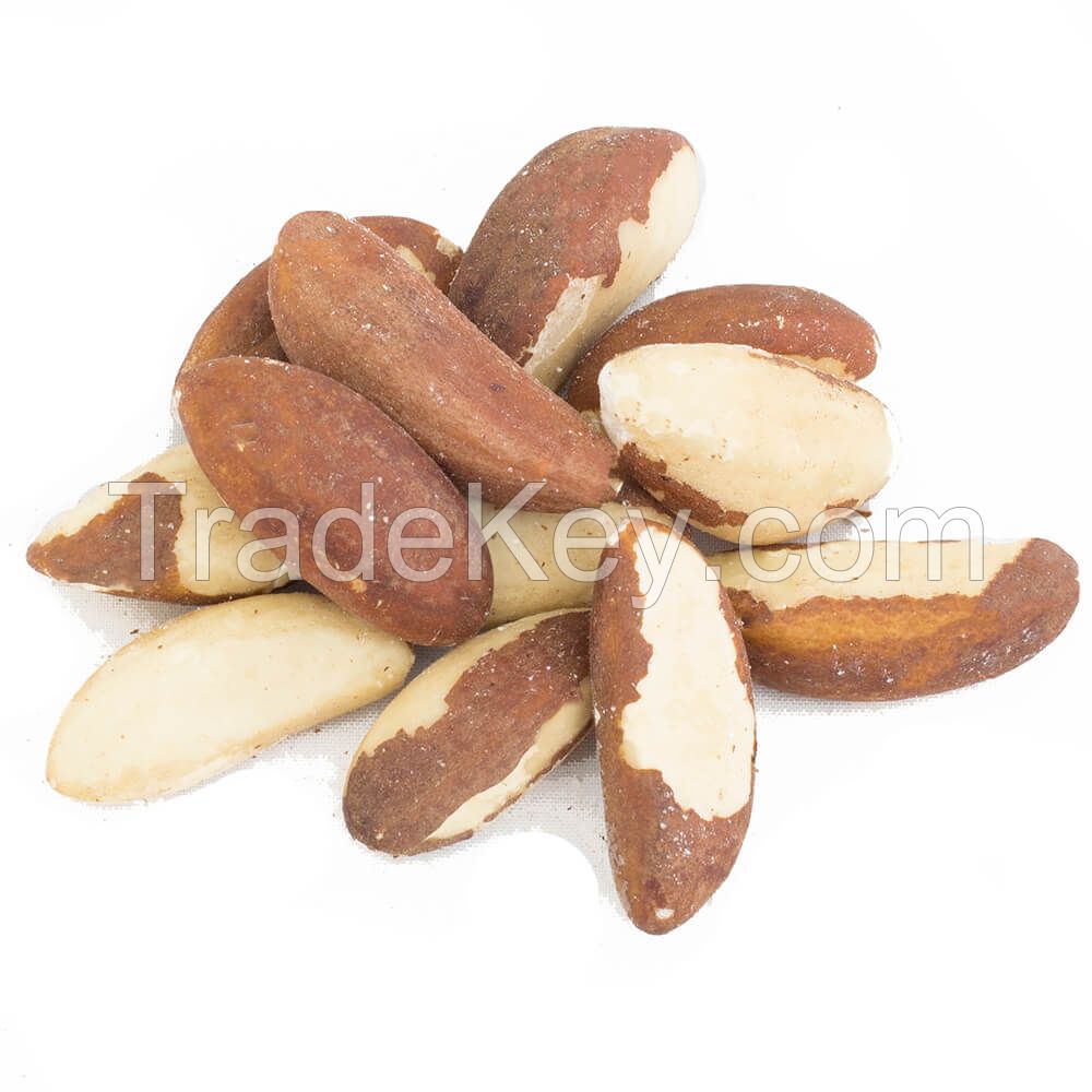 100% cheap price Brazil Nuts Raw brazil nuts