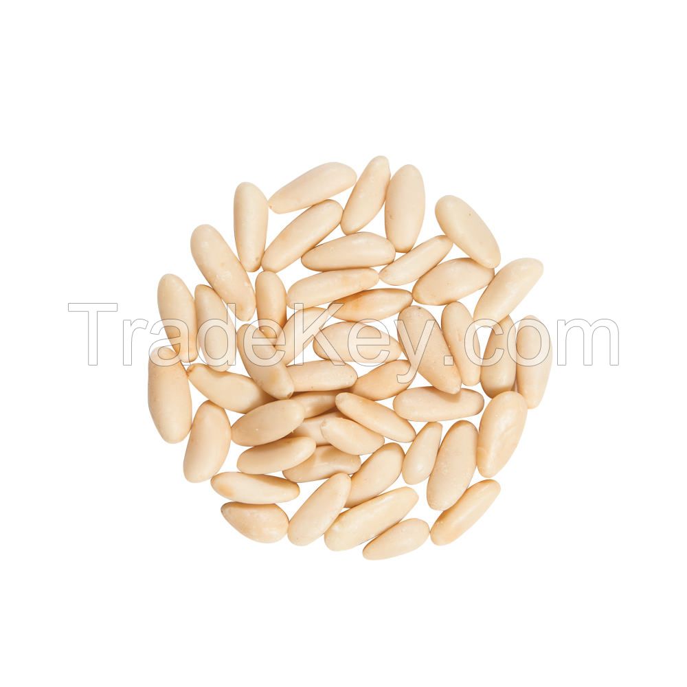 Natural Pine nuts kernels wholesales