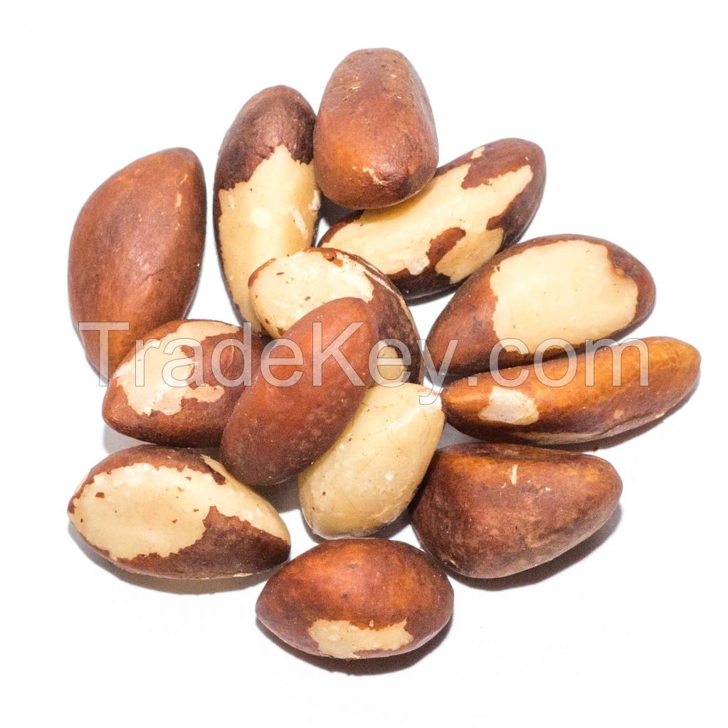 Best Quality Brazil Nuts For Sale In Cheap Price