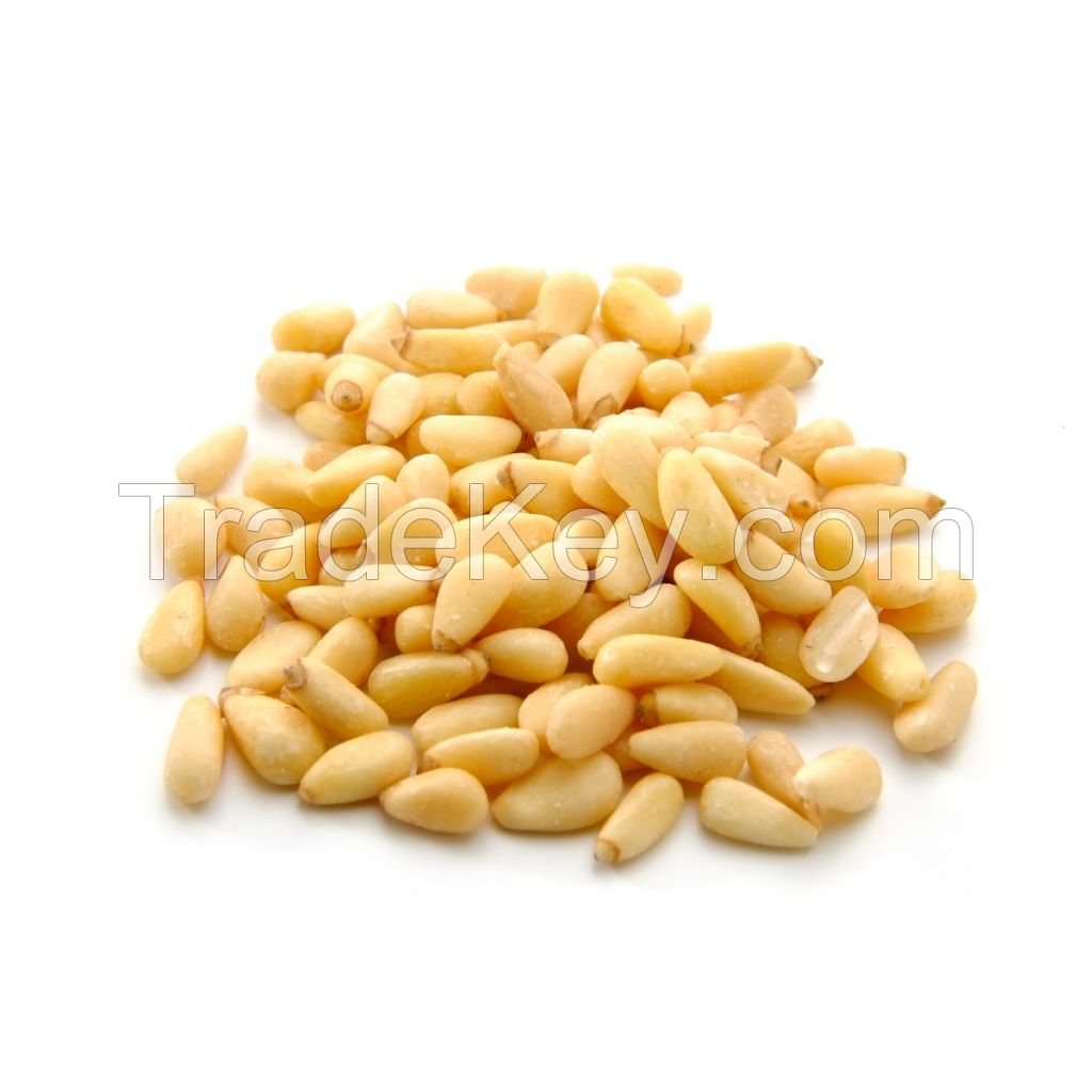 Pine Nut Kernels In Vacuum Bags Bulk Top Quality Sustainably Sourced Naturally Produced Raw