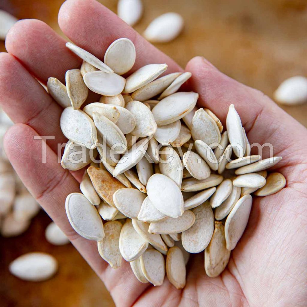 Fresh Snow White Pumpkin Seeds High Quality Snacks Dried Food Shine Skin Pumpkin Seeds