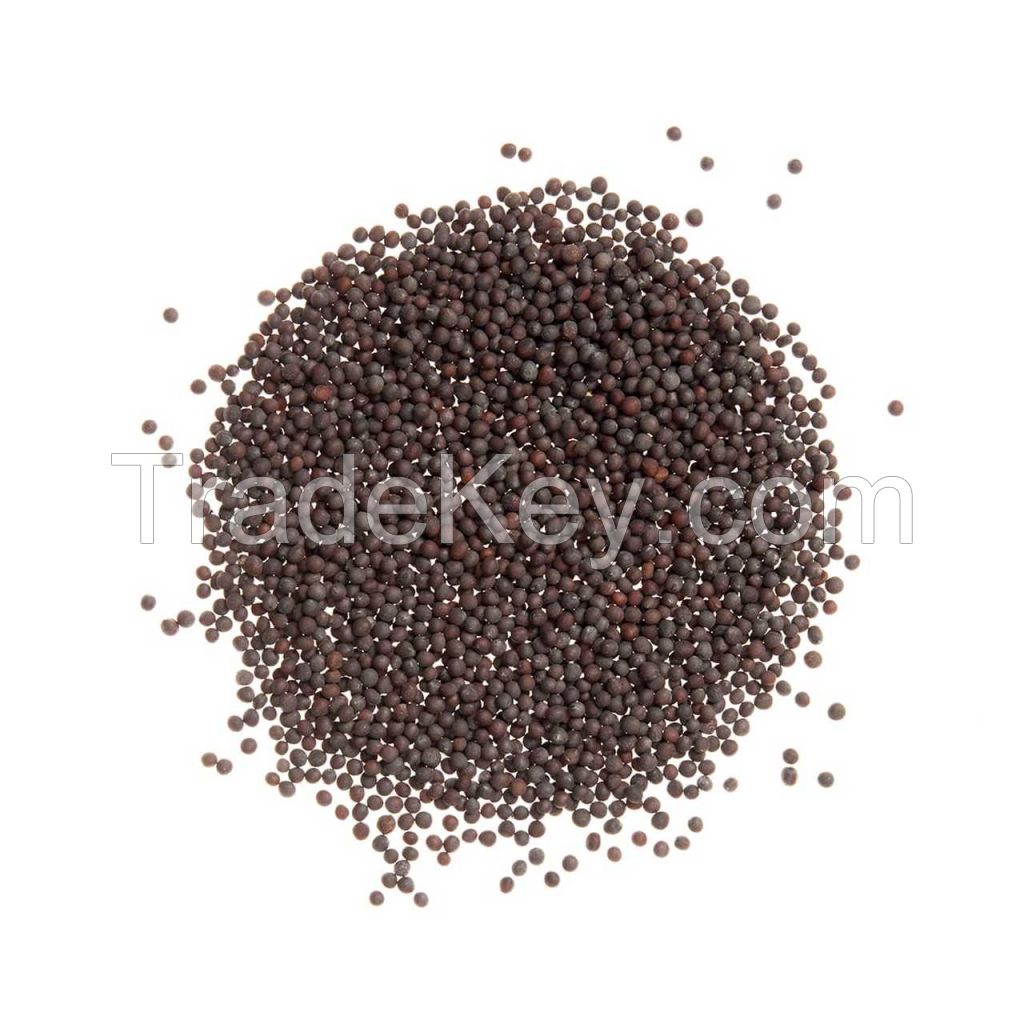 Single Spices Wholesale Pure Nature Yellow Mustard Seed