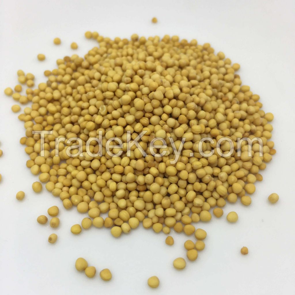 Factory Direct Sale Mustard Seed