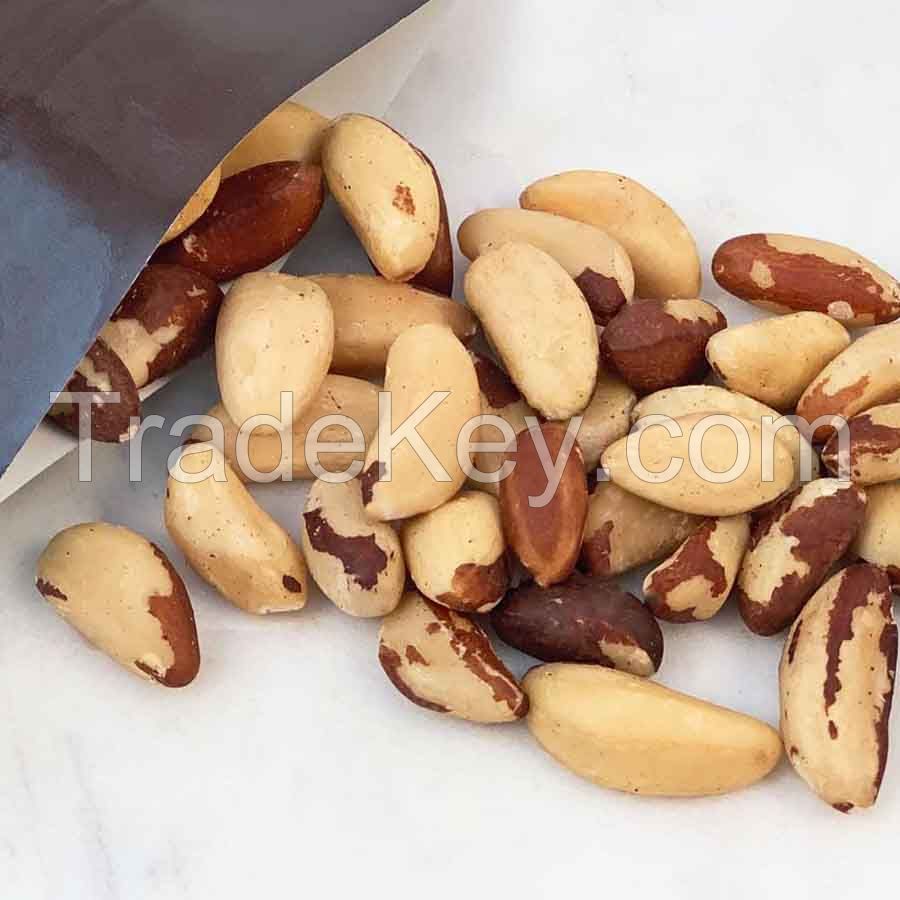 100% cheap price Brazil Nuts Raw brazil nuts