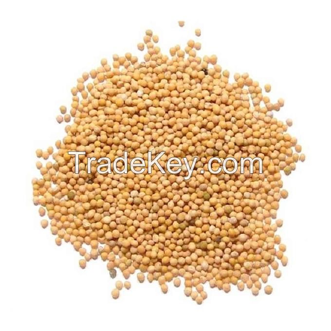 100% Pure organic mustard seed extract / Best Grade Mustard Seeds