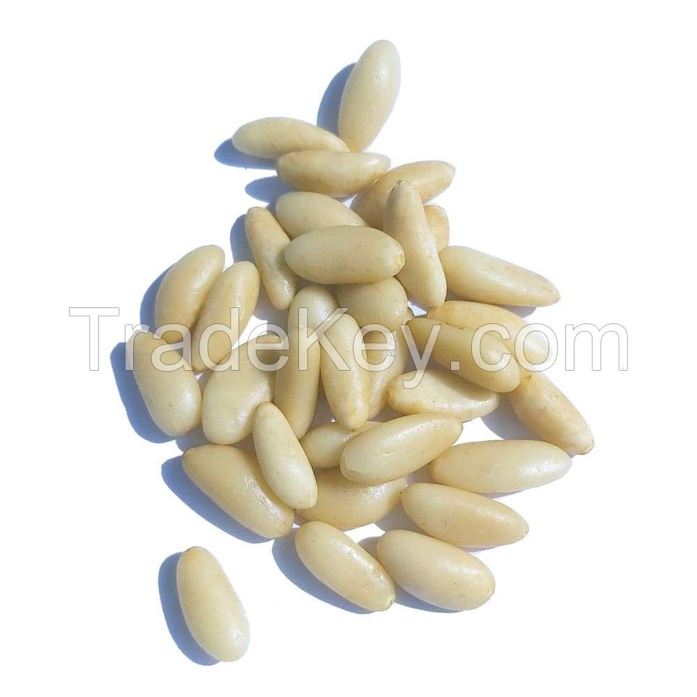 Export Quality Hot Sale Cheaper Organic Pine Nuts Suppliers Pine Nuts Seed