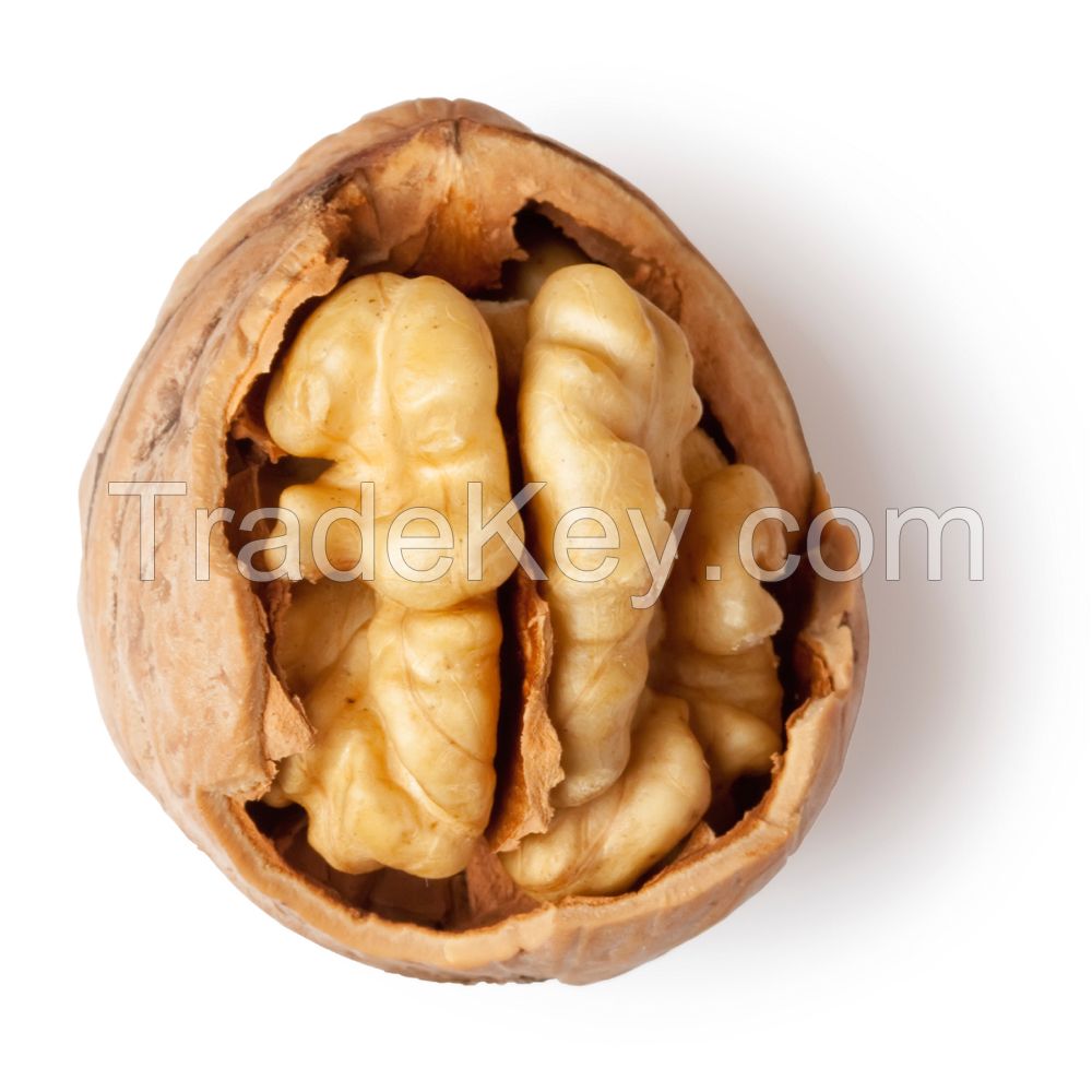 Wholesale Natural Organic First Grade White Walnuts In Shell Bulk Raw Walnut Kernels Nuts & Kernels