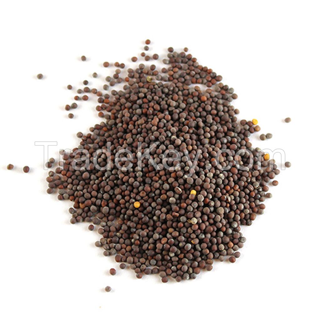 Factory Direct Sale Mustard Seed