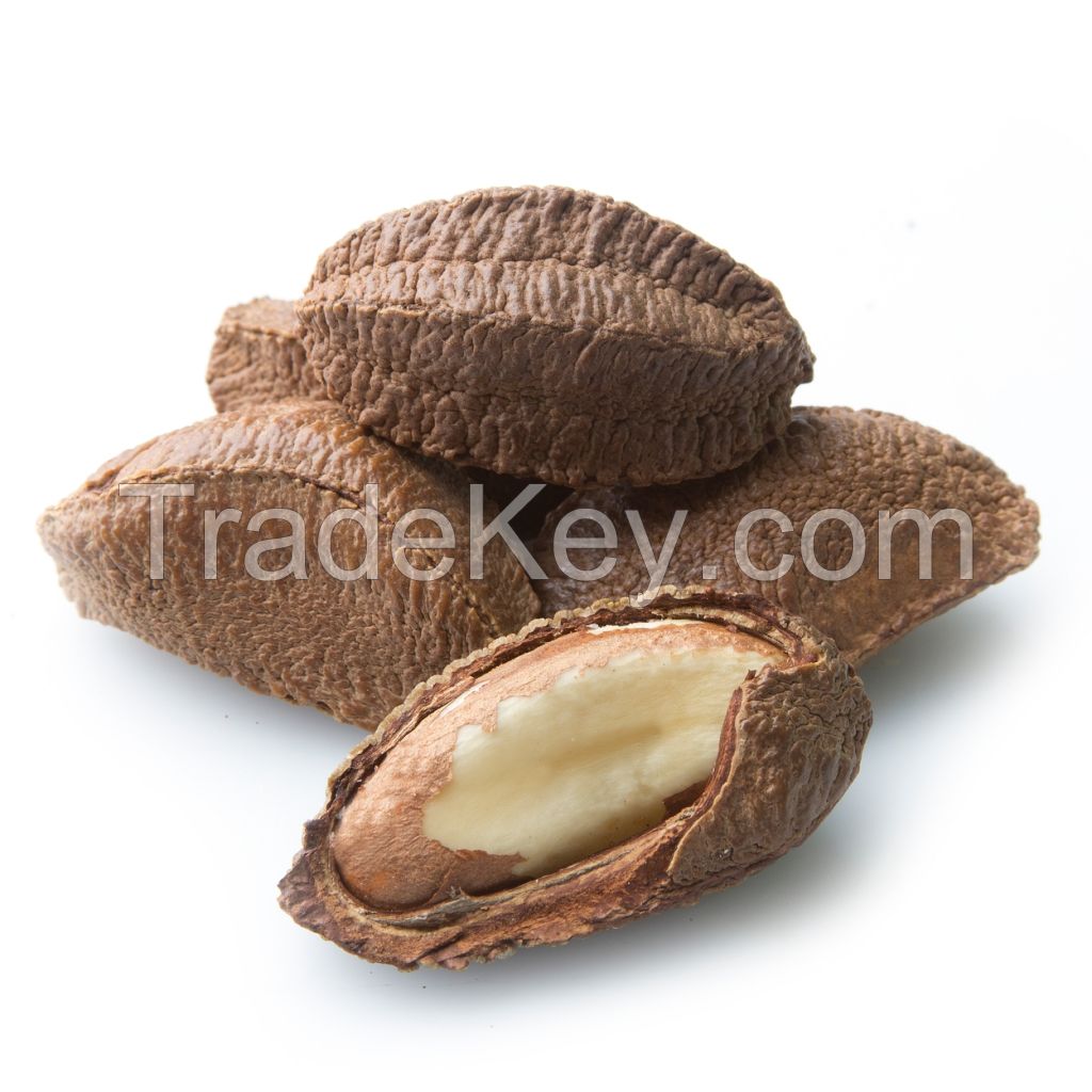 Best Quality Brazil Nuts For Sale In Cheap Price