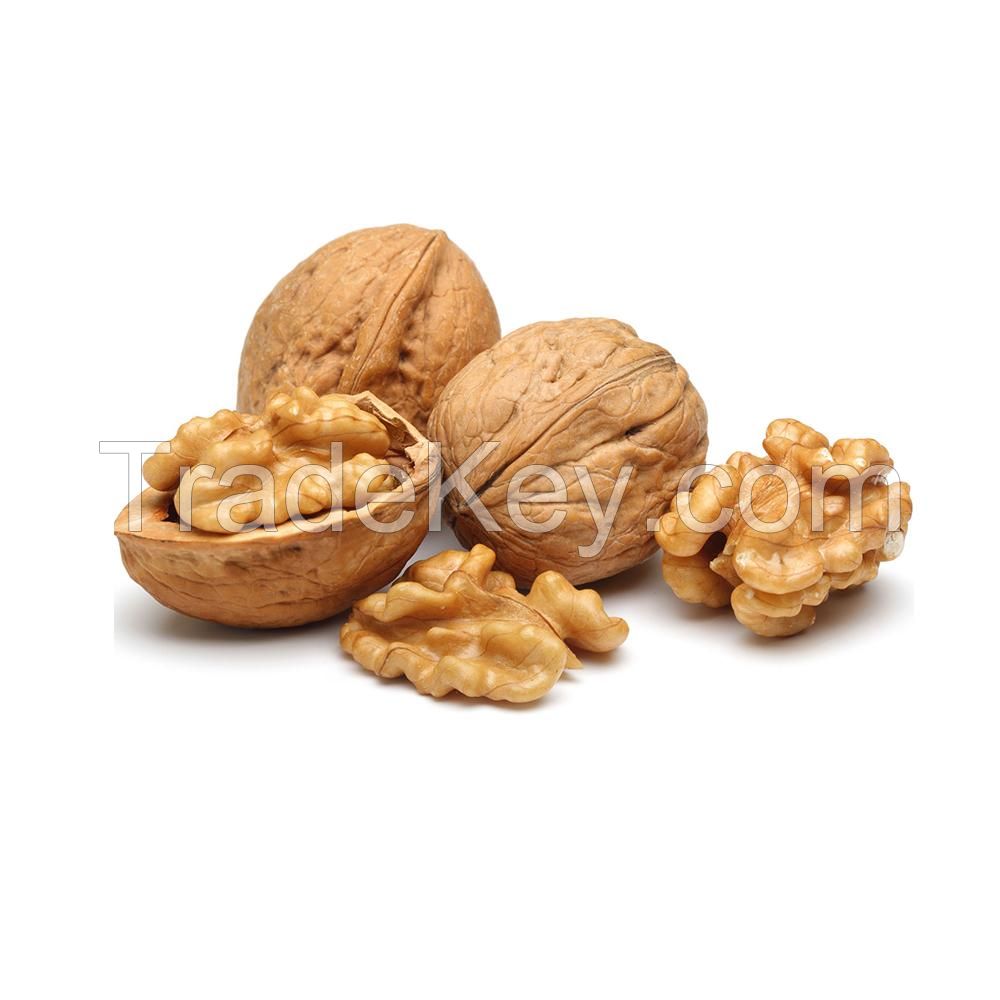 Cheap Price Wholesale Walnuts For Sale In bulk Wholesale Supplier Best Quality Walnuts