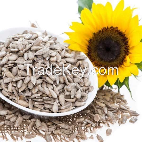 Wholesale High Quality Sunflower Oil / Refined Sunflower Oil for Wholesale