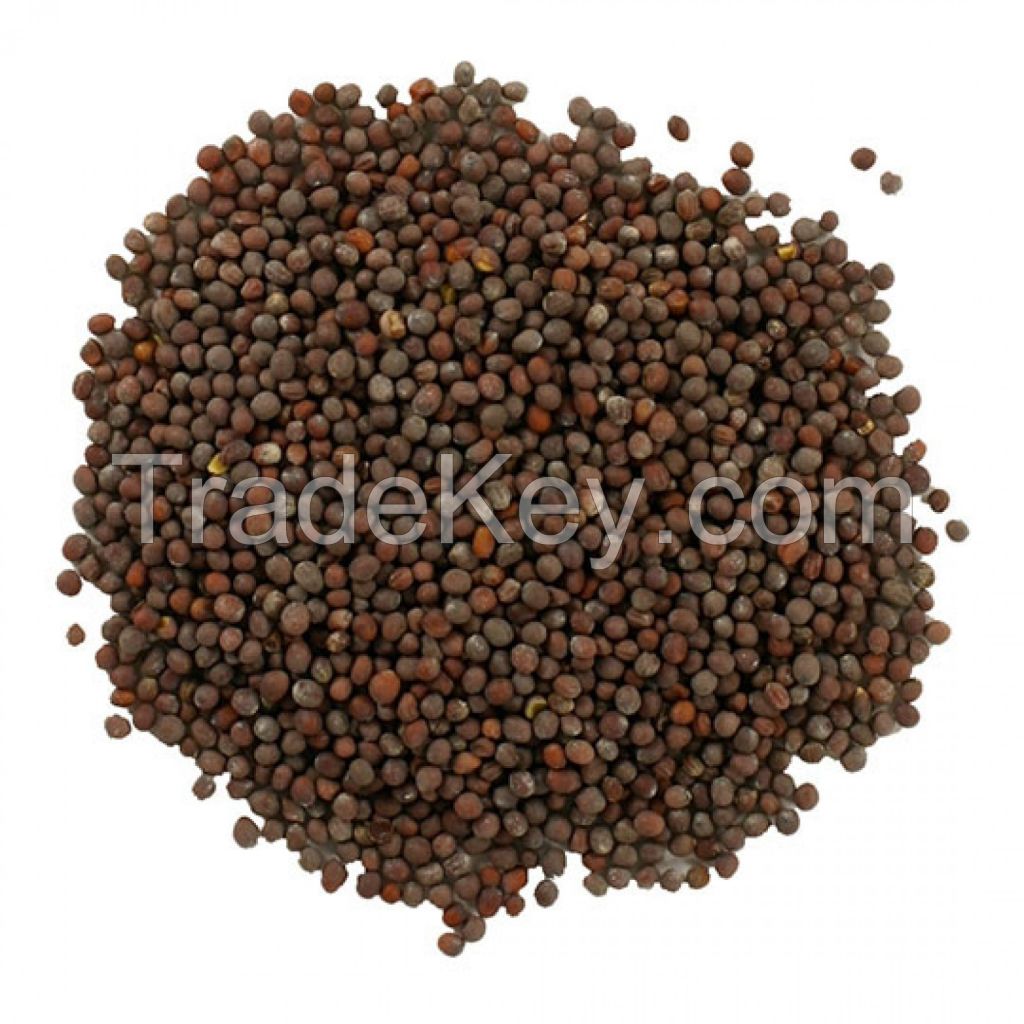 Factory Direct Sale Mustard Seed