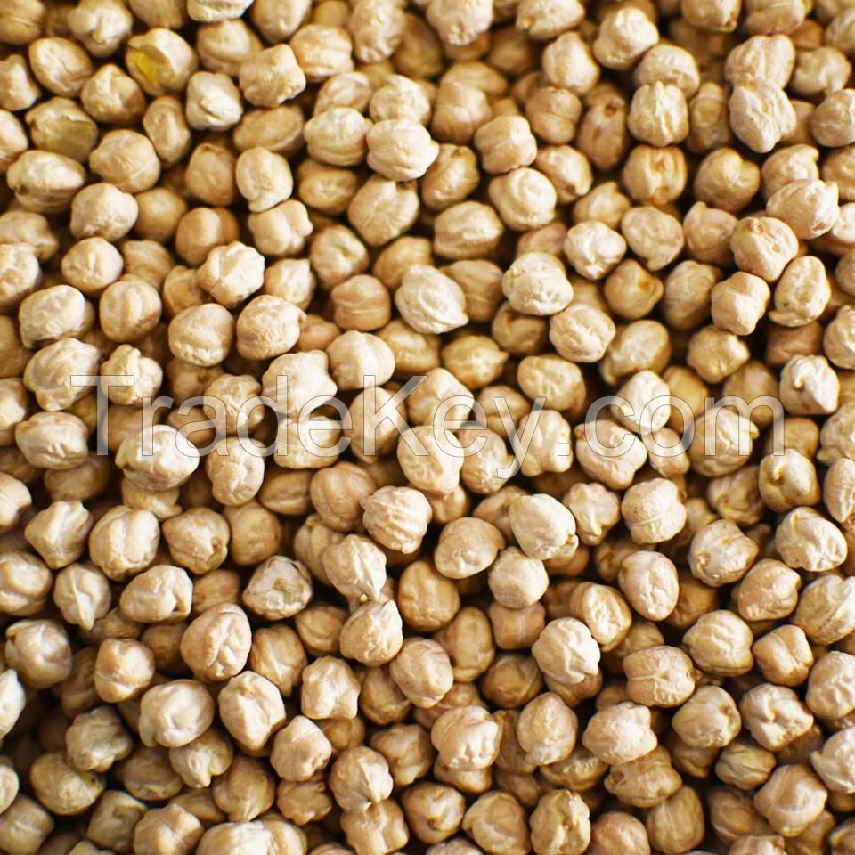 Chickpeas KABULI Dried Raw 7mm 8mm 9mm Chickpeas For Sale