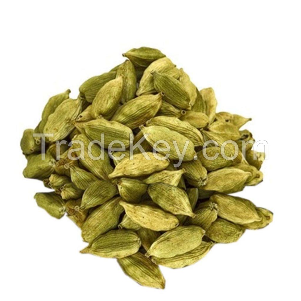 Best Quality Fresh Green Cardamom Elachi Spice Wholesale green cardamom dry Best cardamom price