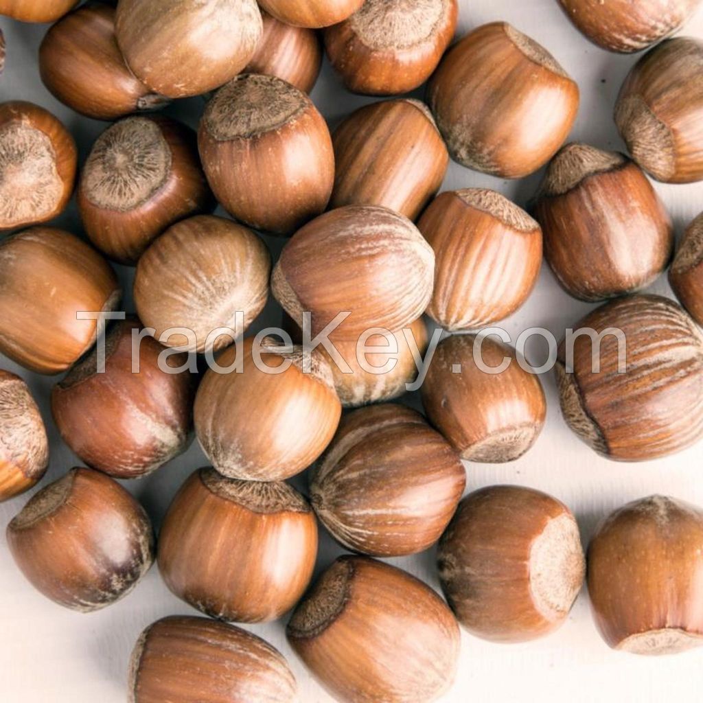 100% natural hazel nuts and ripe hazelnuts without husks