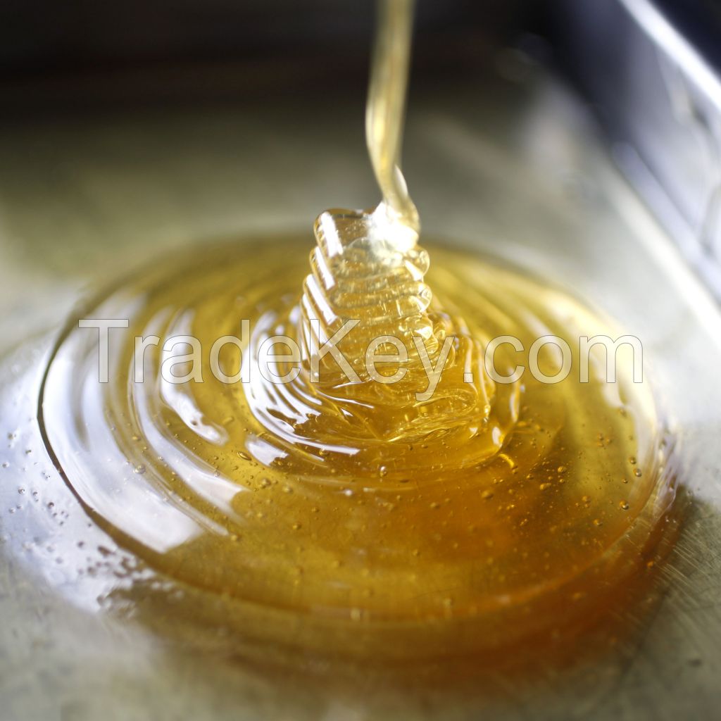 Premium Grade Best Price Wholesale Bulk Honey / Natural Honey / Pure Organic Honey For Export