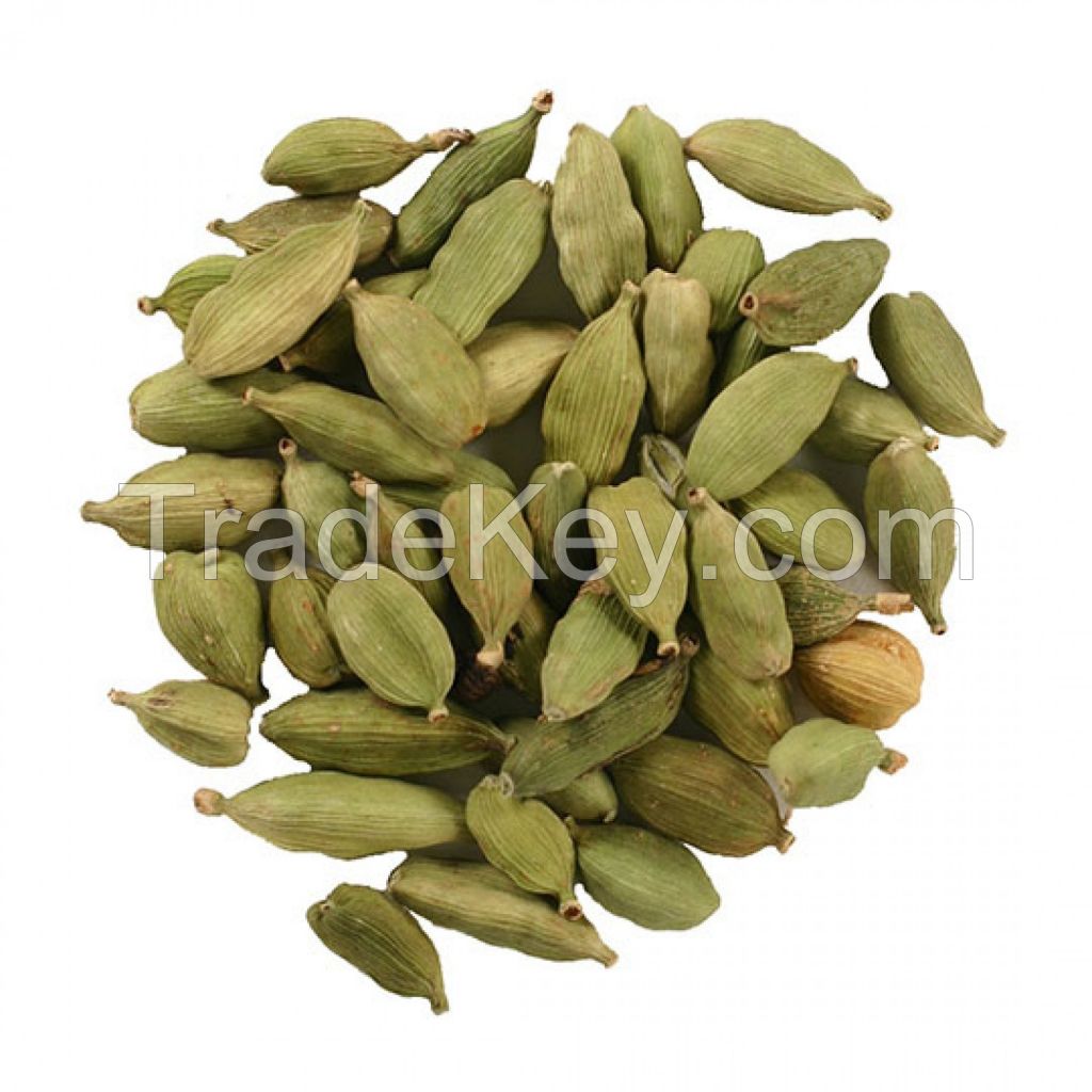 Best Quality Fresh Green Cardamom Elachi Spice Wholesale green cardamom dry Best cardamom price