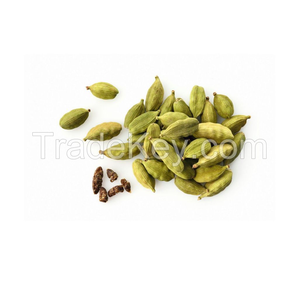 Best Quality Fresh Green Cardamom Elachi Spice Wholesale green cardamom dry Best cardamom price