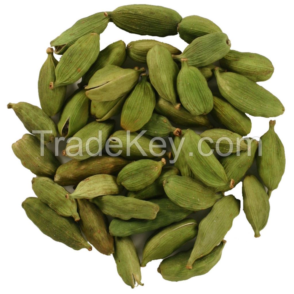 Best Quality Fresh Green Cardamom Elachi Spice Wholesale green cardamom dry Best cardamom price