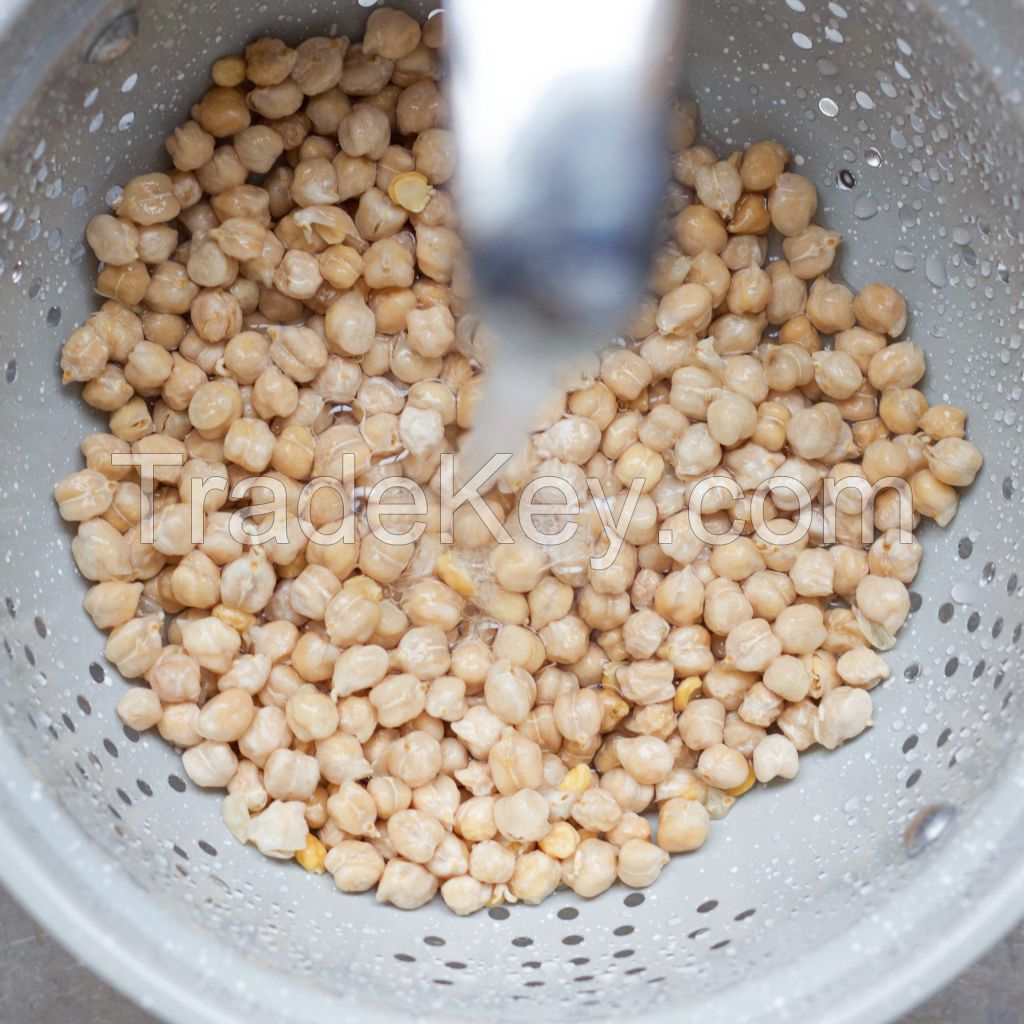 Chickpeas KABULI Dried Raw 7mm 8mm 9mm Chickpeas For Sale