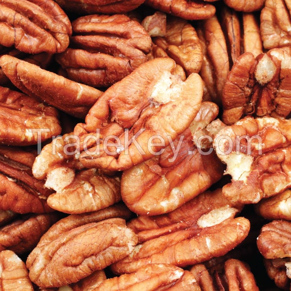 Organic Roasted Pecan Nuts in Wholesale price market