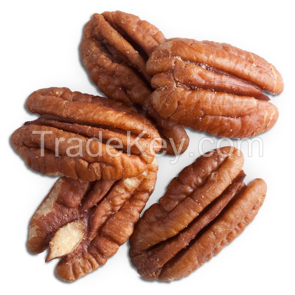 Organic Roasted Pecan Nuts in Wholesale price market