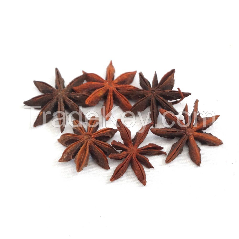 Factory Wholesale Customized Spices Dried Star Anise