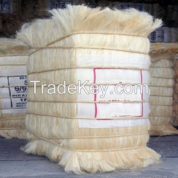 Premium Quality Sisal Fiber