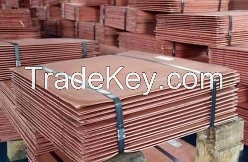 Premium Copper Cathode