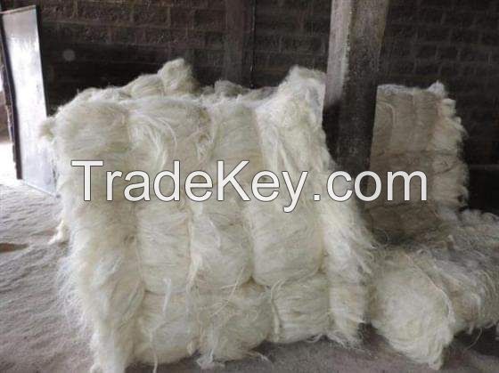 Export Quality Sisal Fiber - High Purity and Strength