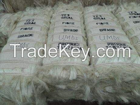 Export Quality Sisal Fiber - High Purity and Strength