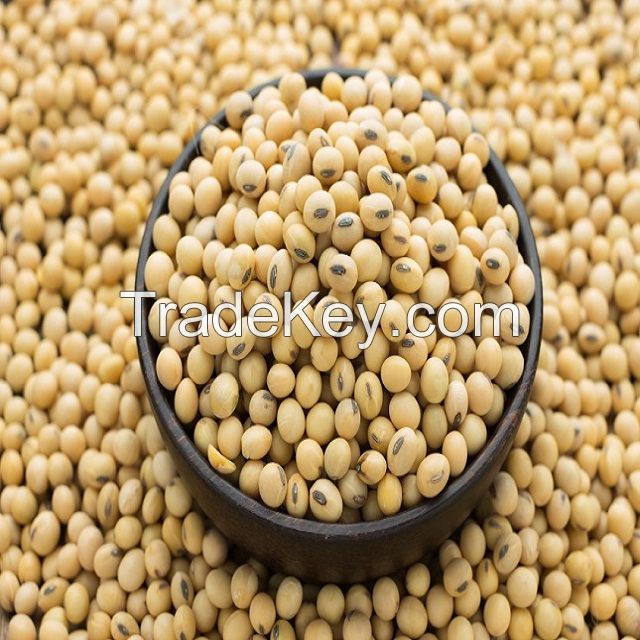  Quality NON-GMO Soya Beans