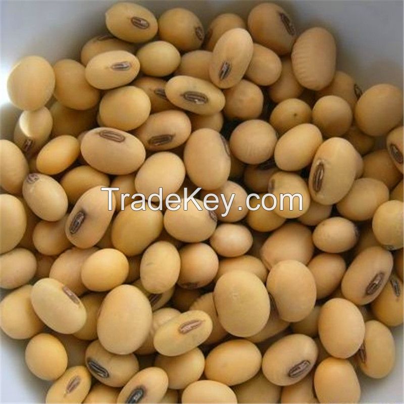  Quality NON-GMO Soya Beans