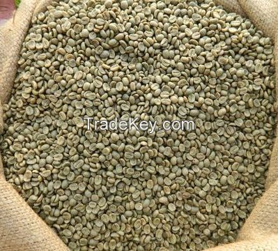 Coffee with Best Price Arabica Beans Good Quality