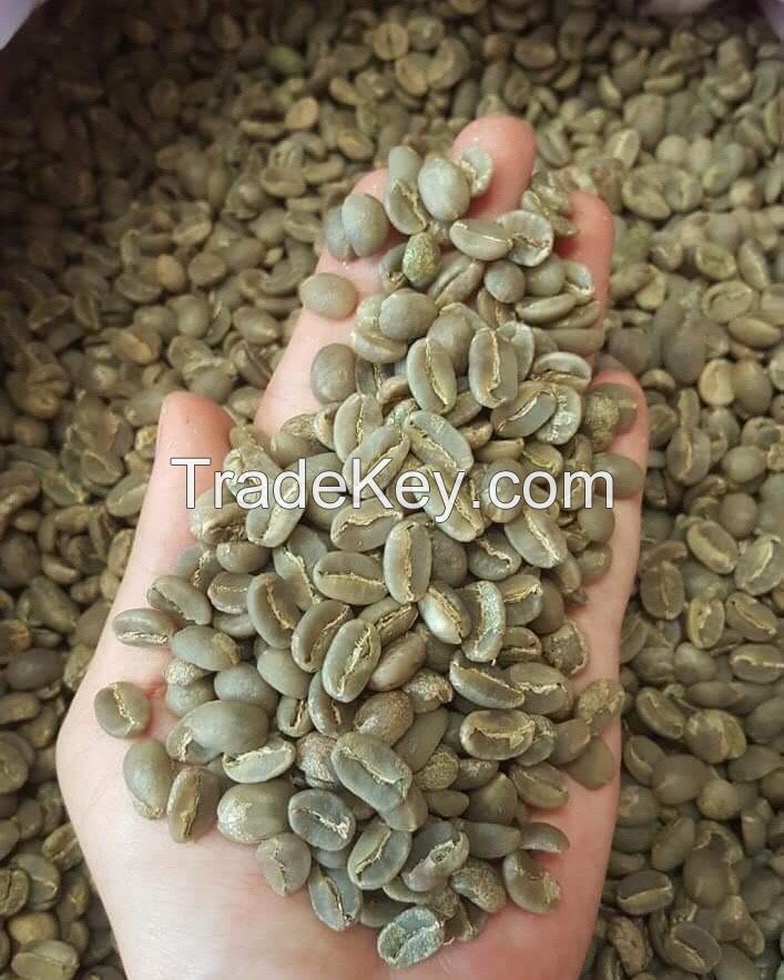 6 MM bulk green coffee beans