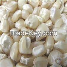 Top Selling White Maize Corn Yellow Maize Export Quality Stock Available