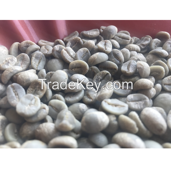 6 MM bulk green coffee beans