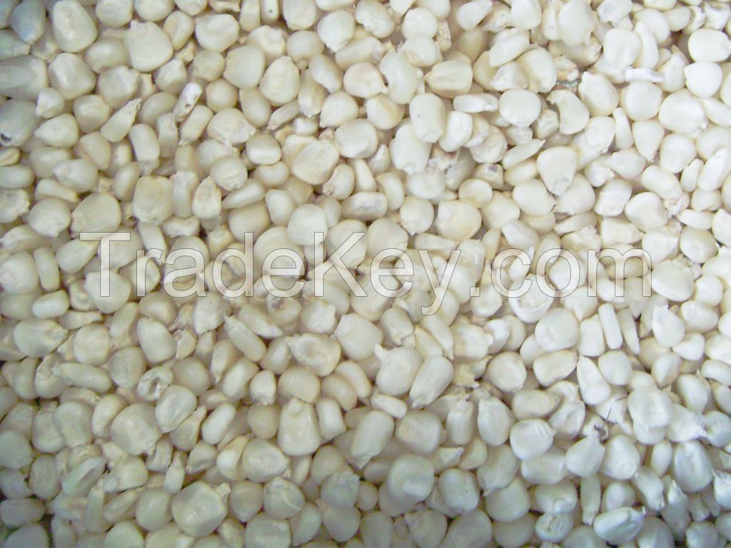 Best Grade White Corn Maize For Animal Feed White Maize..