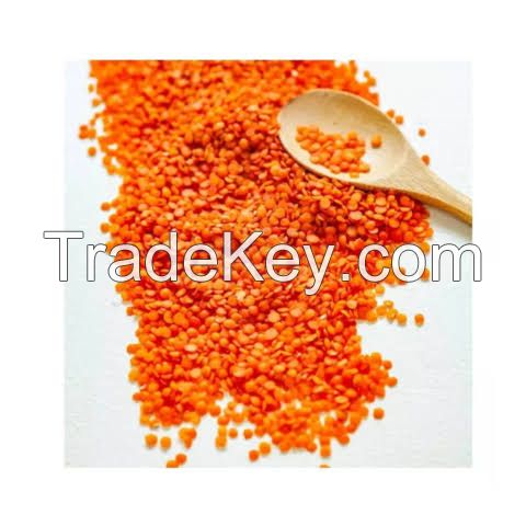 Top-Grade Tanzanian Red Lentils with Bold, Rich Flavor for Gourmet and International Cuisines