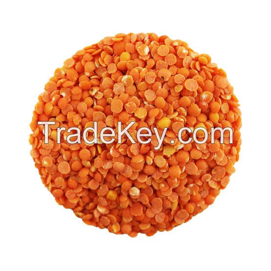 Top-Grade Tanzanian Red Lentils with Bold, Rich Flavor for Gourmet and International Cuisines