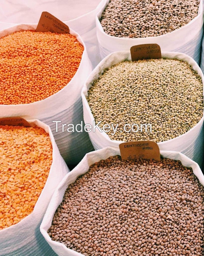 Top-Grade Tanzanian Red Lentils with Bold, Rich Flavor for Gourmet and International Cuisines